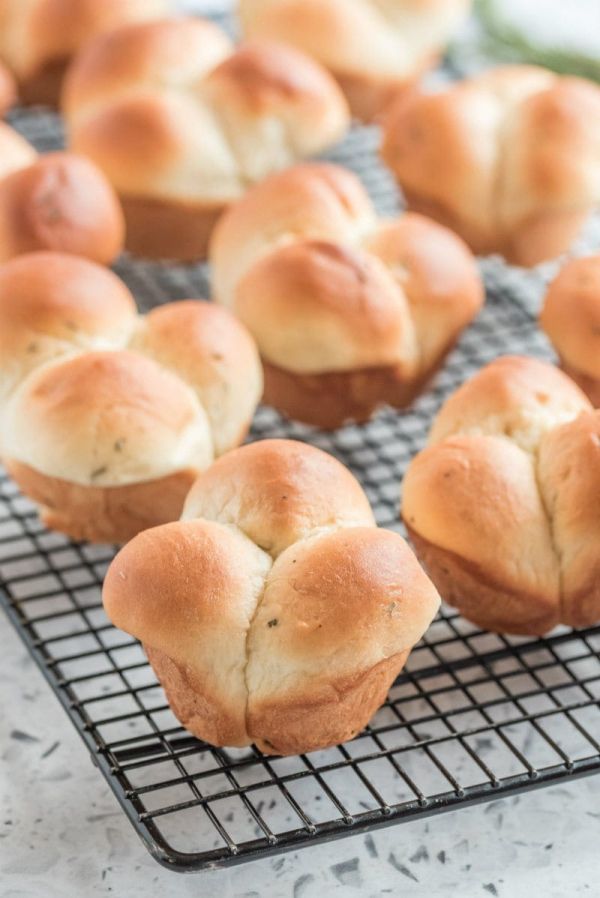 garlic-rosemary-no-knead-cloverleaf-rolls